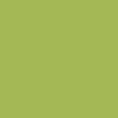 Artha Pottery Stain 3088 Parrot Green 100 gms for sale in India - Bhoomi Pottery