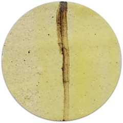 Artha Pottery Stoneware Glaze 1269 Yellow Zr. 500 gms for sale in India - Bhoomi Pottery  