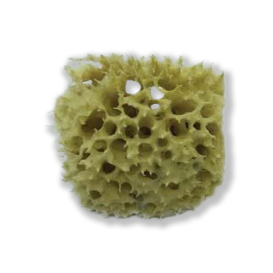Buy Kemper Tools Sea Sponge Wool WSPG for sale in India - Bhoomi Pottery